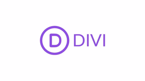 Using Divi with SEO Generator
